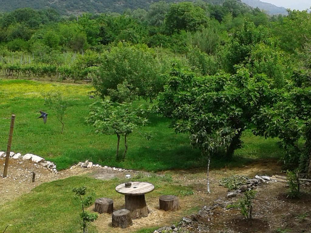 Guesthouse Feel Lake Virpazar Exteriér fotografie