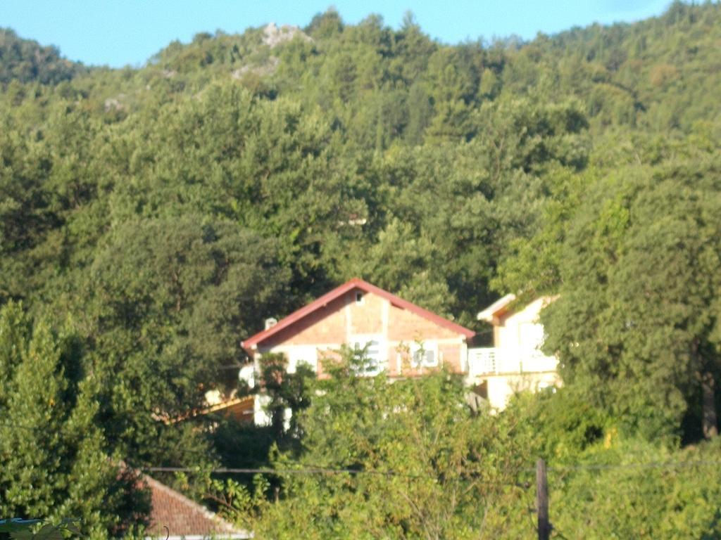 Guesthouse Feel Lake Virpazar Exteriér fotografie