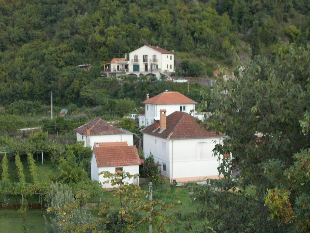 Guesthouse Feel Lake Virpazar Exteriér fotografie